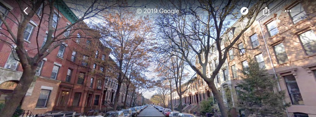 550 Vanderbilt Avenue 212 Pacific Park Brooklyn NY 11238