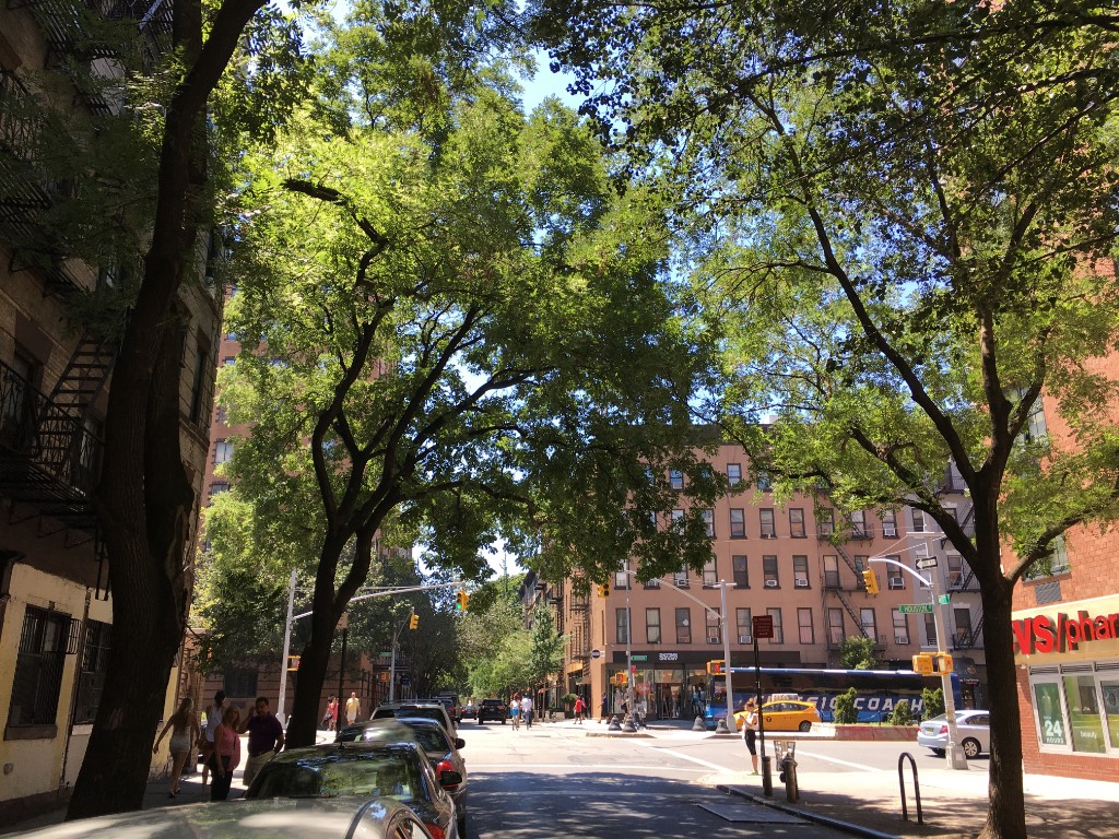 306 Mott Street 3B Noho New York NY 10012