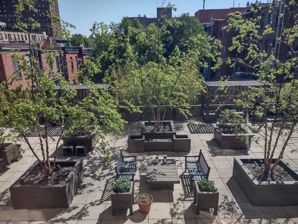 330 West 145th Street 311 Hamilton Heights New York NY 10030