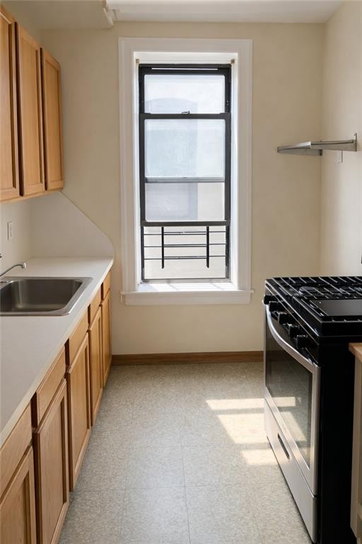 2503 East 19th Street Sheepshead Bay Brooklyn NY 11235