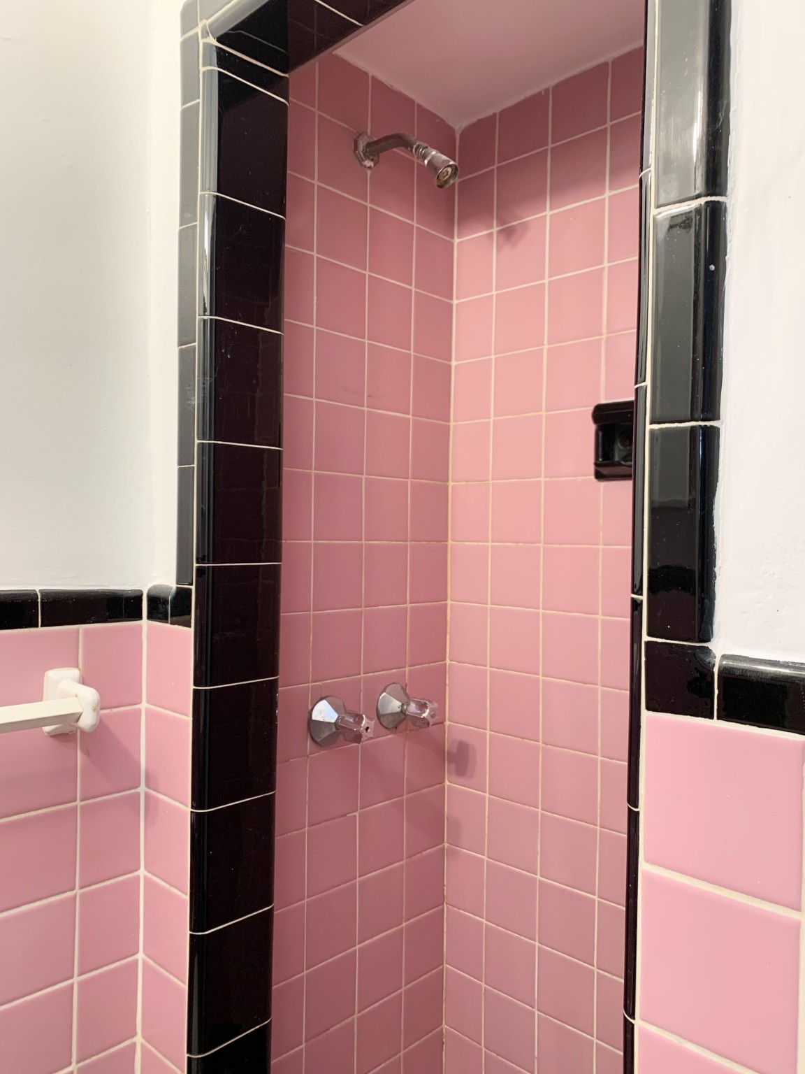 317 West 29th Street 5A Chelsea New York NY 10001