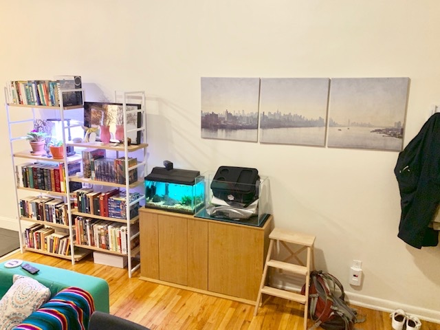 21 East 108th Street 4B Upper East Side New York NY 10029
