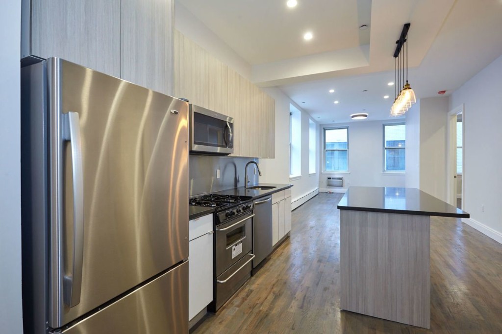 45 Beekman Street 3S Seaport District New York NY 10038