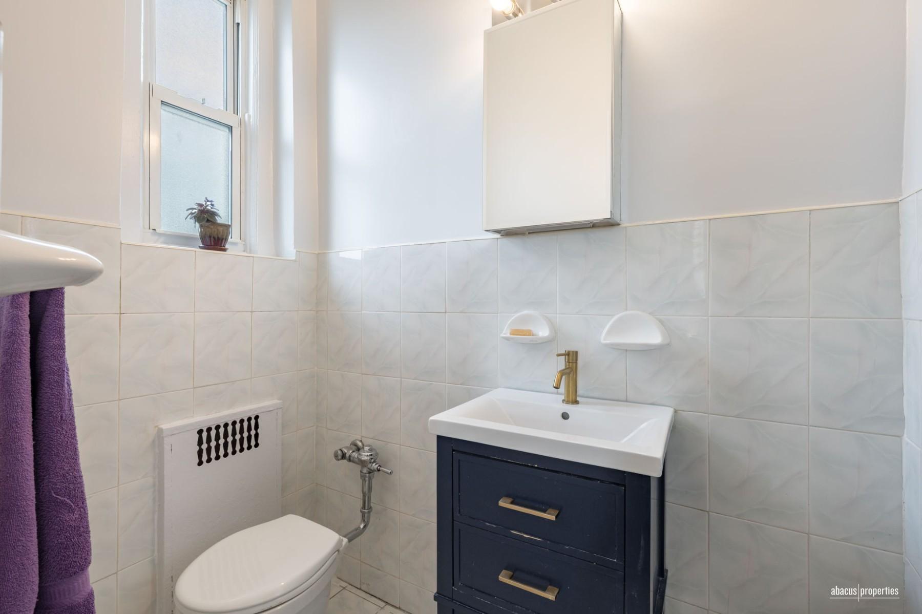 1409 Albemarle Road 5B Prospect Park South Brooklyn NY 11226