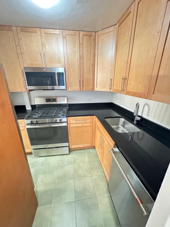 350 West 51st Street 2A Clinton New York NY 10019