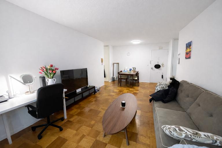 230 West 55th Street 17C Midtown West New York NY 10019