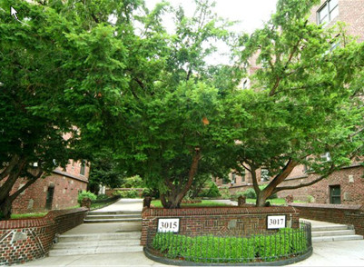 3017 Riverdale Avenue 2H Riverdale Bronx NY 10463