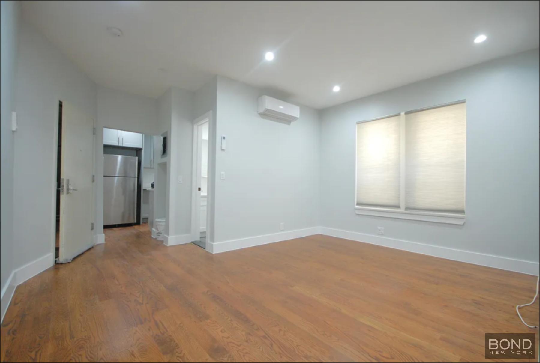 217 East 96th Street Remsen Village Brooklyn NY 11212